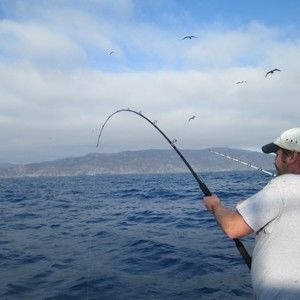 Meet your Posher, Val